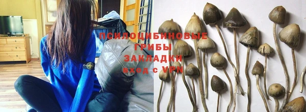 эйфоретик Кинешма