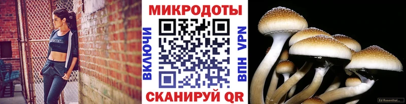 Псилоцибиновые грибы мицелий  Оренбург 