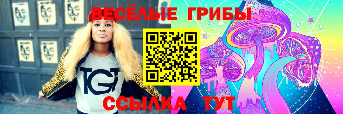 Псилоцибиновые грибы ЛСД Оренбург