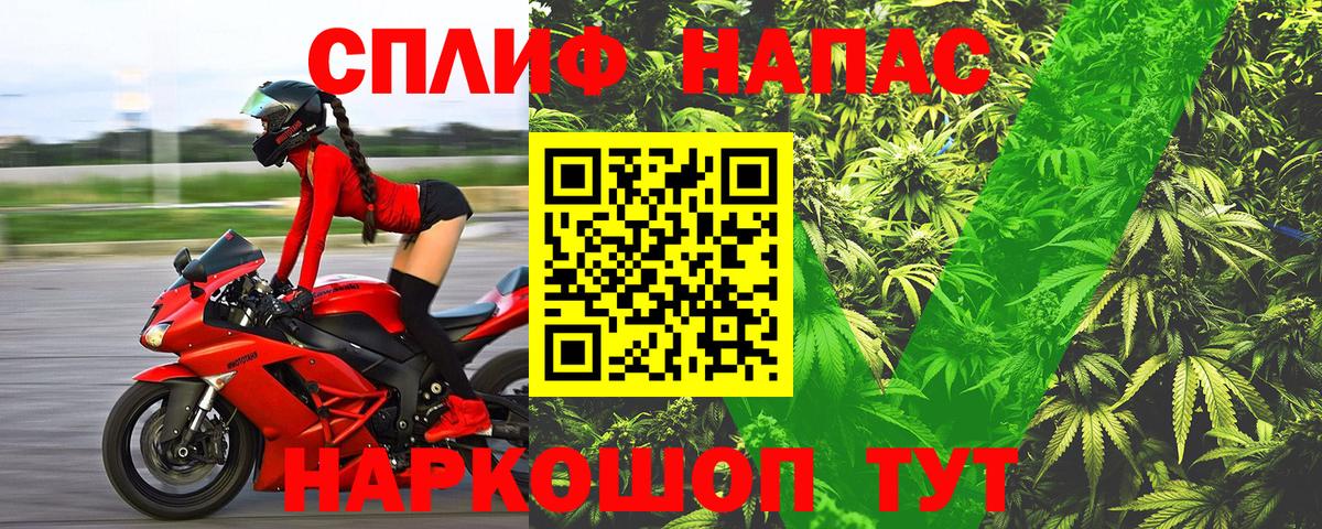 Конопля гибрид Оренбург